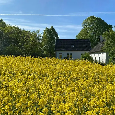 Scenic House With Sea Views In Birkeland