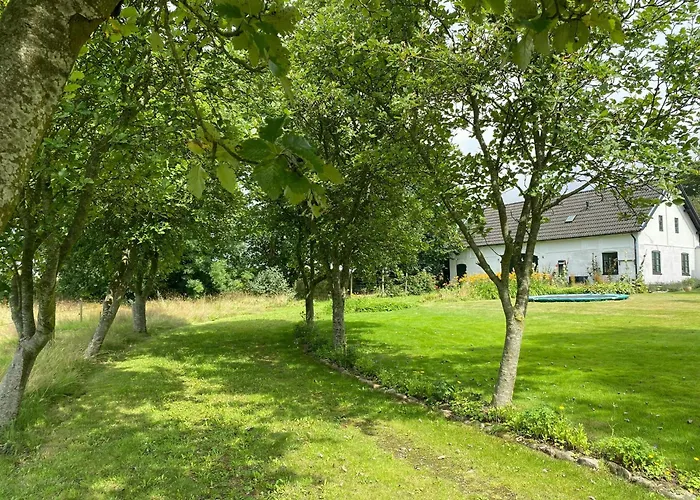 Feriehus Scenic House With Sea Views In Birkeland