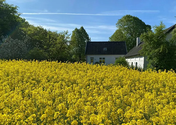 Feriehus Scenic House With Sea Views In Birkeland